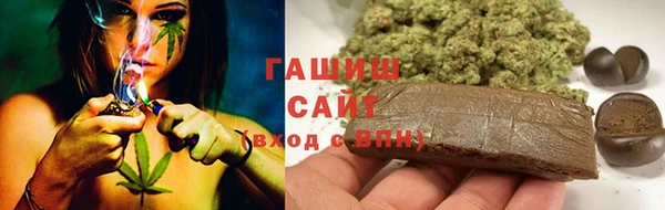 дмт Бикин