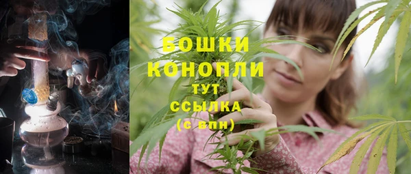 spice Билибино