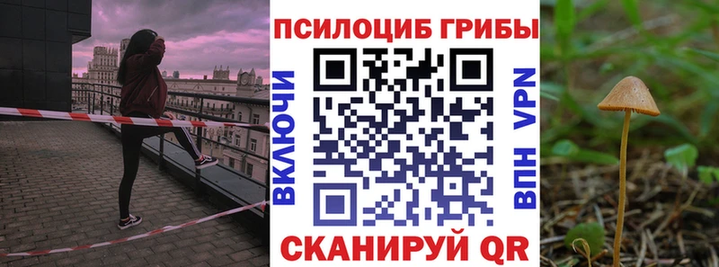 где купить   Артёмовский  Псилоцибиновые грибы мицелий 
